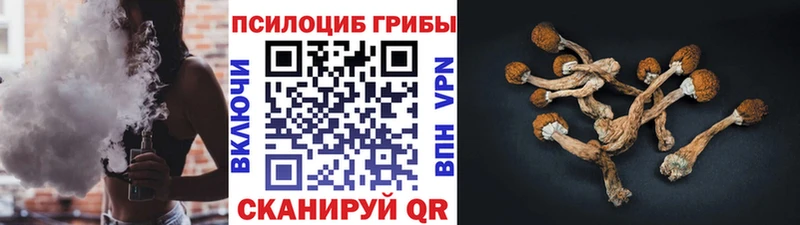 Галлюциногенные грибы мухоморы  Афипский 